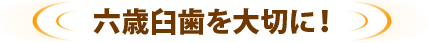 六歳臼歯を大切に！