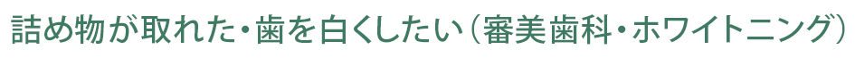 詰め物が取れた・歯を白くしたい（審美歯科・ホワイトニング）